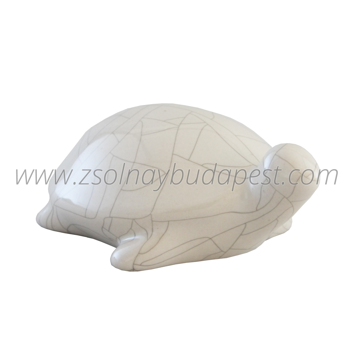White eosin turtle